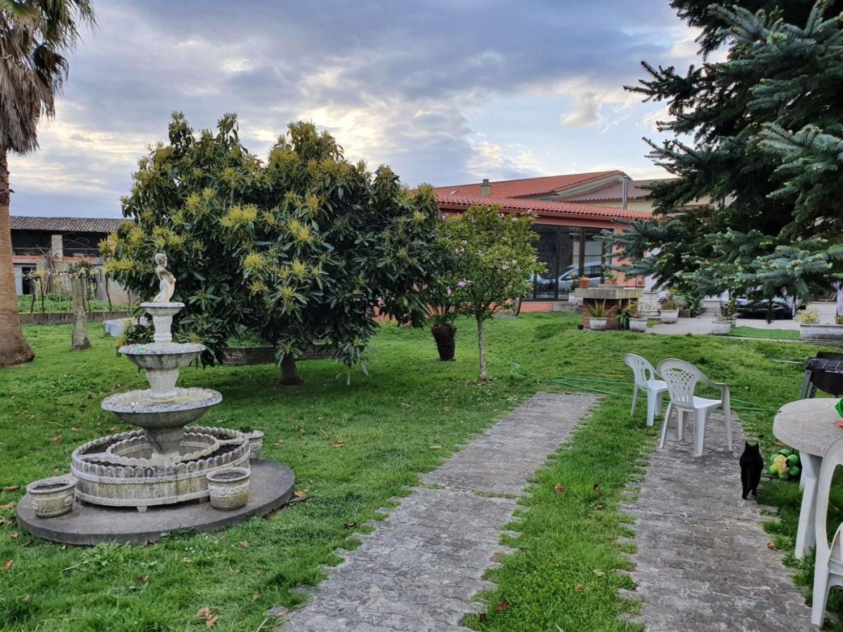 Paisaje de A Guarda y el entorno del Baixo Miño (5)