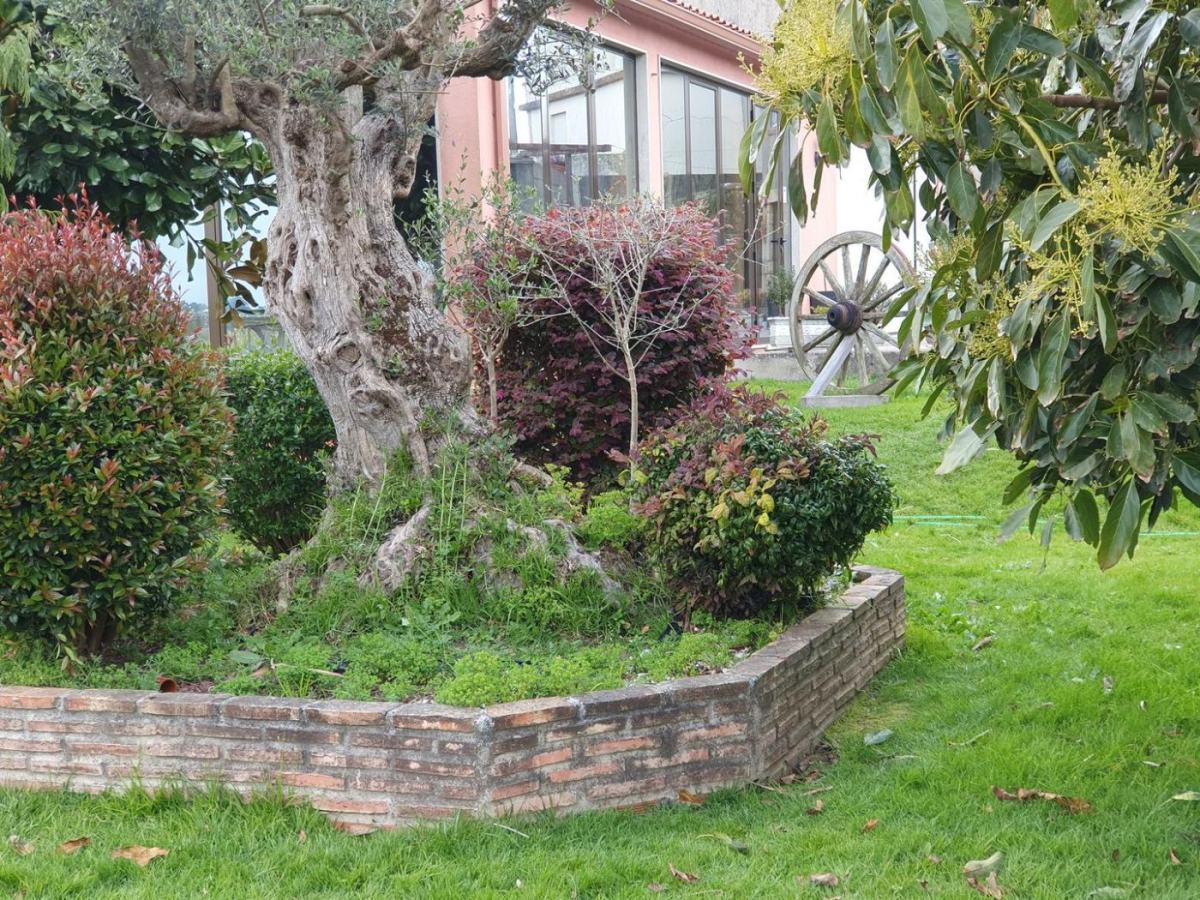 Paisaje de A Guarda y el entorno del Baixo Miño (7)